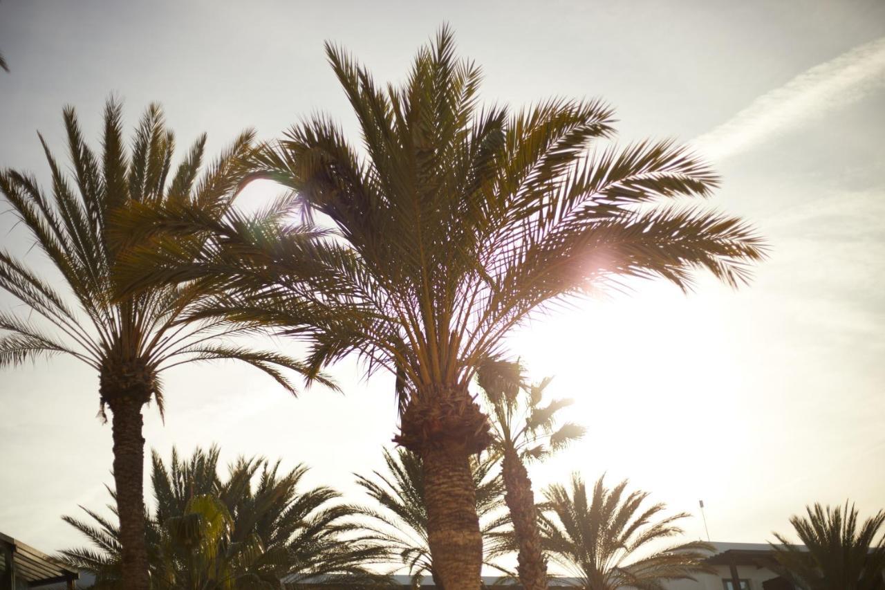 ホテル エスペリア ランサローテ プエルト・カレロ エクステリア 写真 Palm trees in the desert